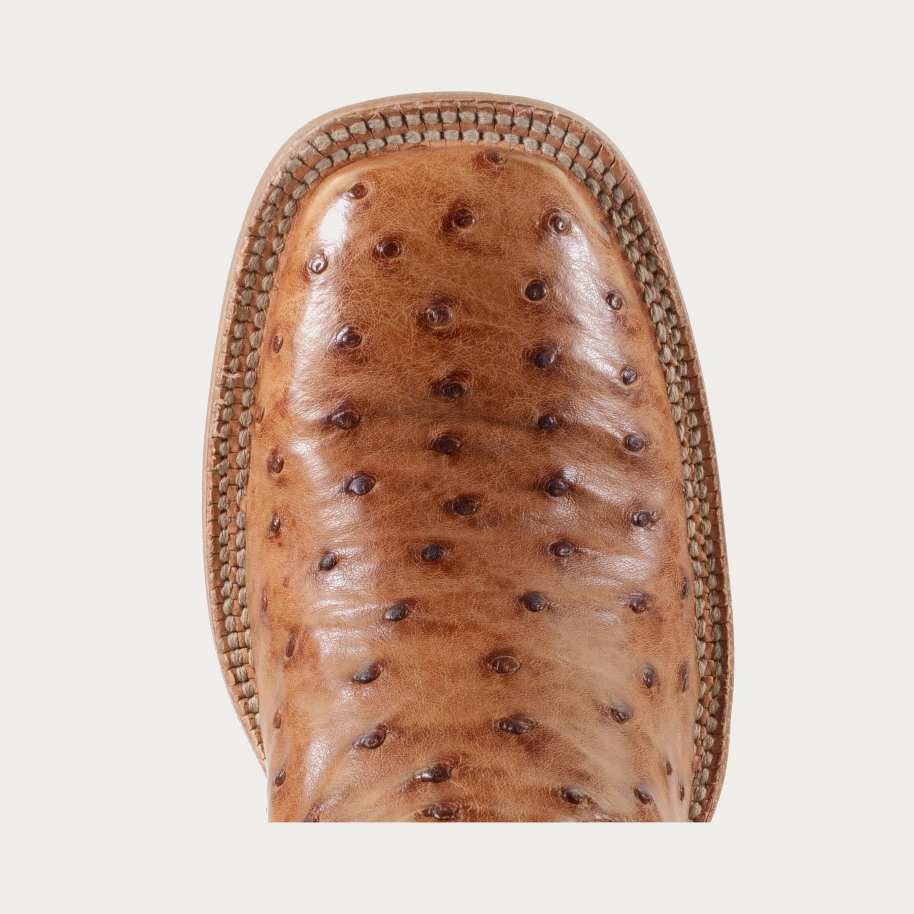Harper Square Toe Ostrich Cowgirl Boot