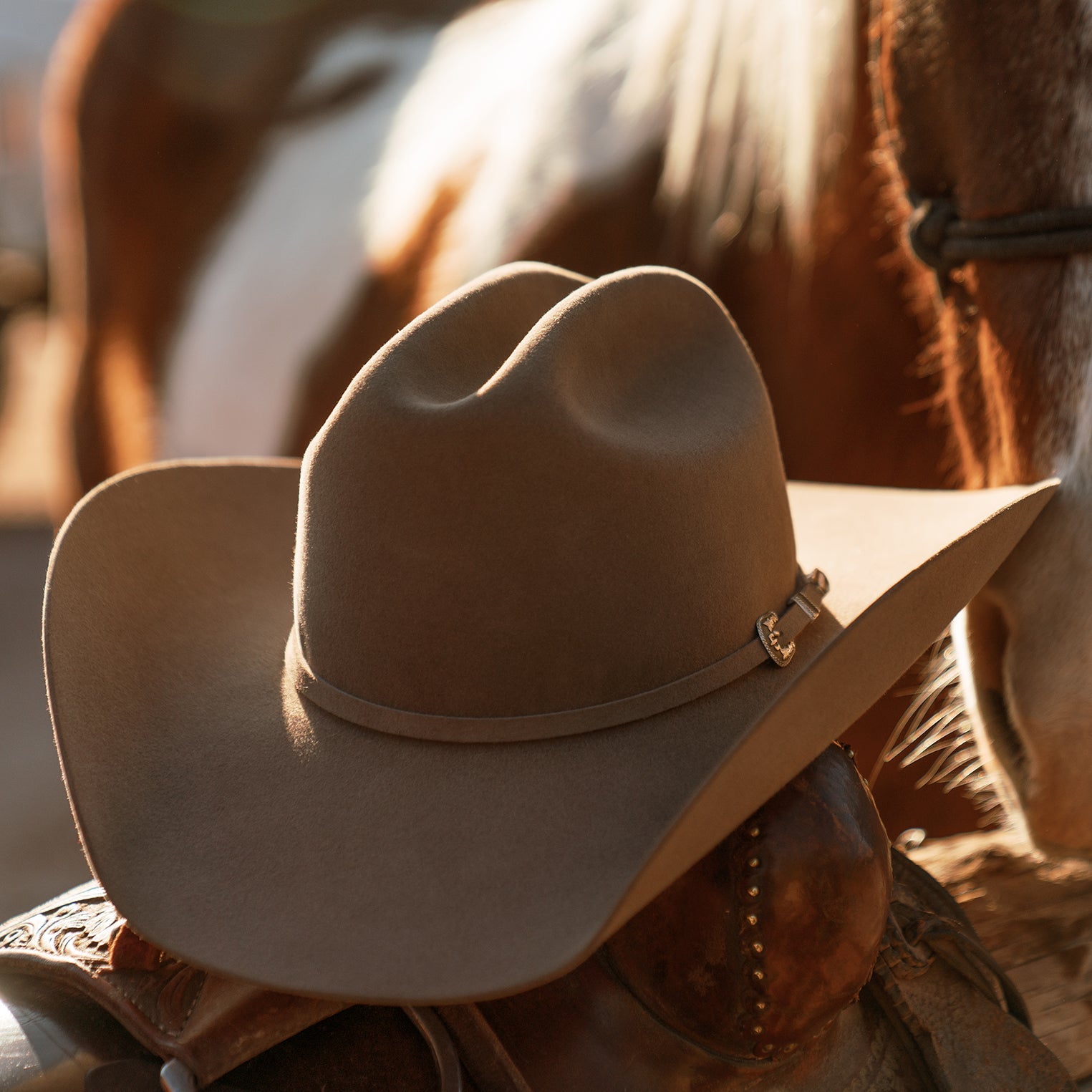 6X Skyline Cowboy Hat in Sahara