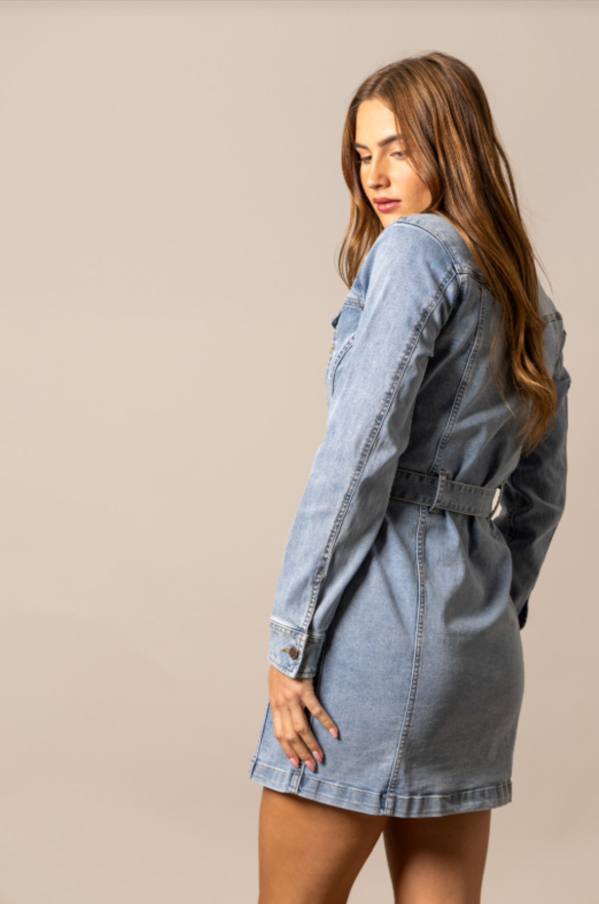 Winslow Trucker Dress