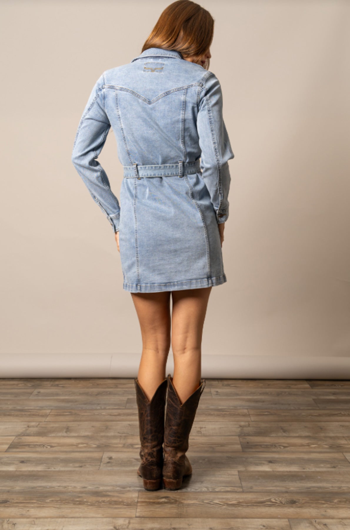 Winslow Trucker Dress