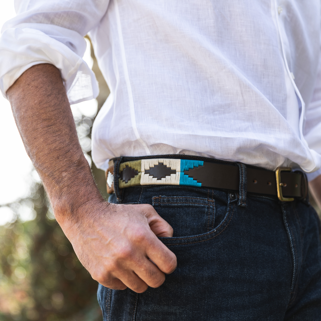 Pampeano Belt - Terraqueo