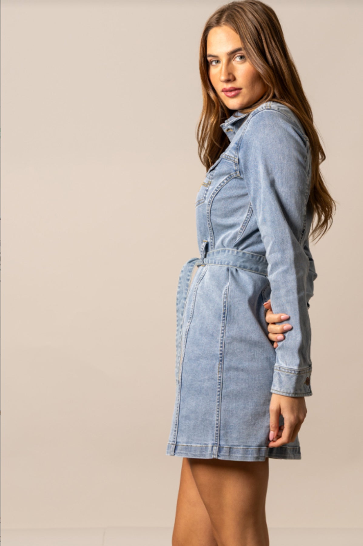 Winslow Trucker Dress
