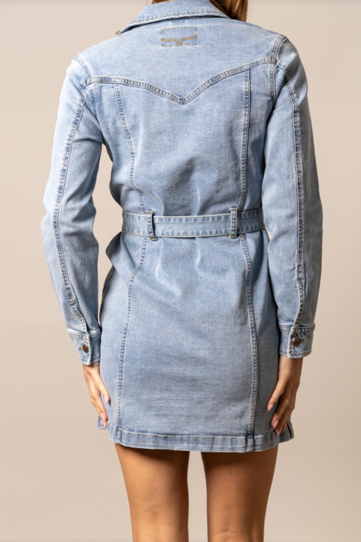 Winslow Trucker Dress